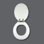 Soft Close Toilet Seat in White with Chrome Hinges
