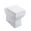Square Back to Wall Toilet with Soft Close Seat
