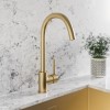 Brass Single Lever Kitchen Mixer Tap - Enza Tamara 