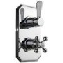 Traditional Twin Concealed Shower Mixer Valve