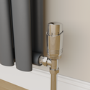 Elego Chrome Modern TRV Angled Thermostatic Radiator Valves With Lockshield