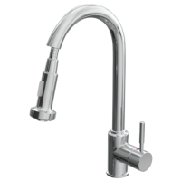 Reginox Pull Out Spray Tap