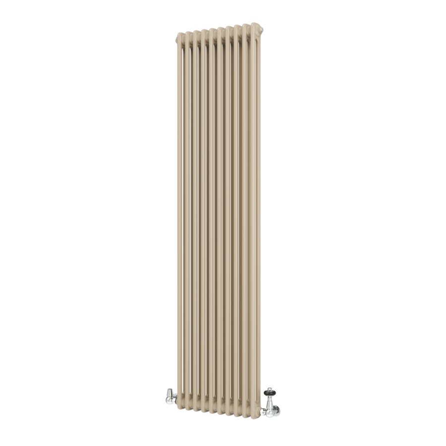 Reggio Beige grey Vertical Double Column Traditional Radiator ...
