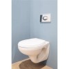 Round Wall Hung Toilet with Wall Hung Frame &amp; Soft Close Seat