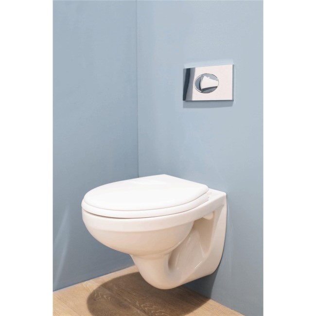 Round Wall Hung Toilet with Wall Hung Frame & Soft Close Seat