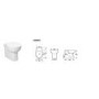 Anise Back to Wall Toilet with Soft Close Seat