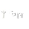 Anise Pedestal Sink - 1 Tap Hole