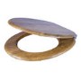 GRADE A1 - Croydex Ontario Anti-Bacterial Toilet Seat with Soft-Close Hinge - Teak Finish