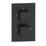 Black 2 Outlet Concealed Thermostatic Shower Valve with Dual Control - Zana