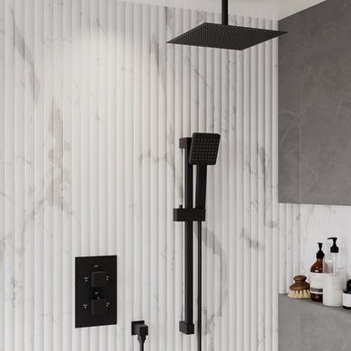 2 Outlet Ceiling Mounted Thermostatic Mixer Shower Set Hand Shower