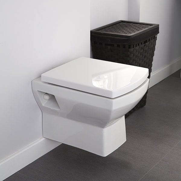 Large Toilet Wall Mounted