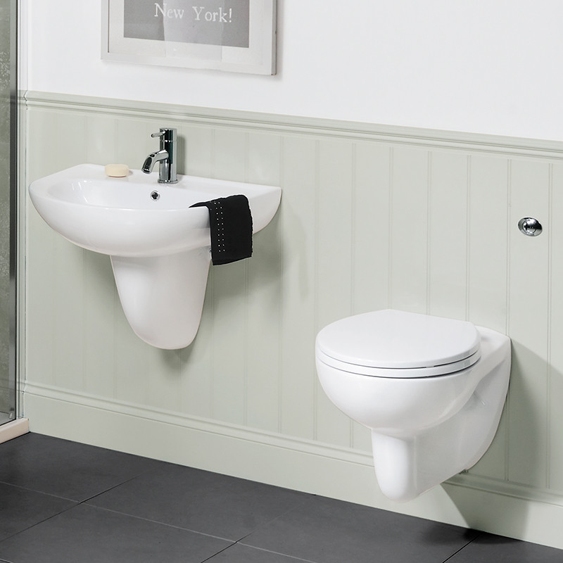 Paris Wall Hung Toilet and Seat